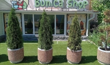 Bunica Shop